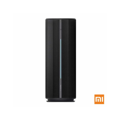 Coluna Xiaomi Mi Speaker 40W Portátil Bluetooth Preta