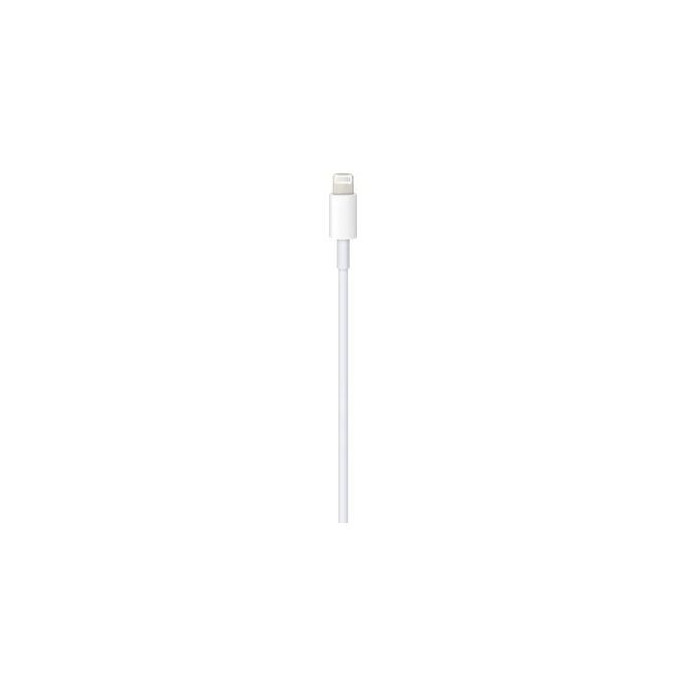 Apple iPhone USB-C - Lightning 1m
