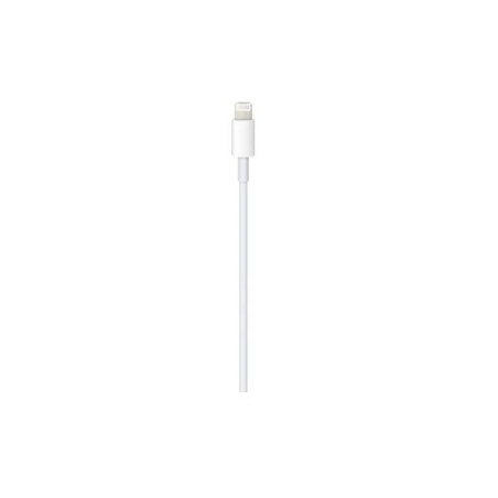 Apple iPhone USB-C - Lightning 1m